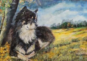 Kodi, Pastell Acryl 2025 50x60cm